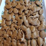 phoca_thumb_m_barevn tden u krtek 55b Fotogalerie